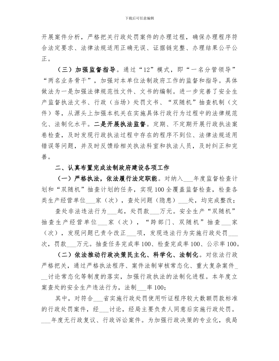 2024年法治政府建设工作总结_第2页