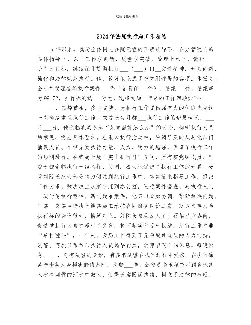 2024年法院执行局工作总结_第1页
