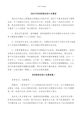 2024年活动经验总结小志愿者