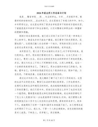 2024年派出所工作总结与计划