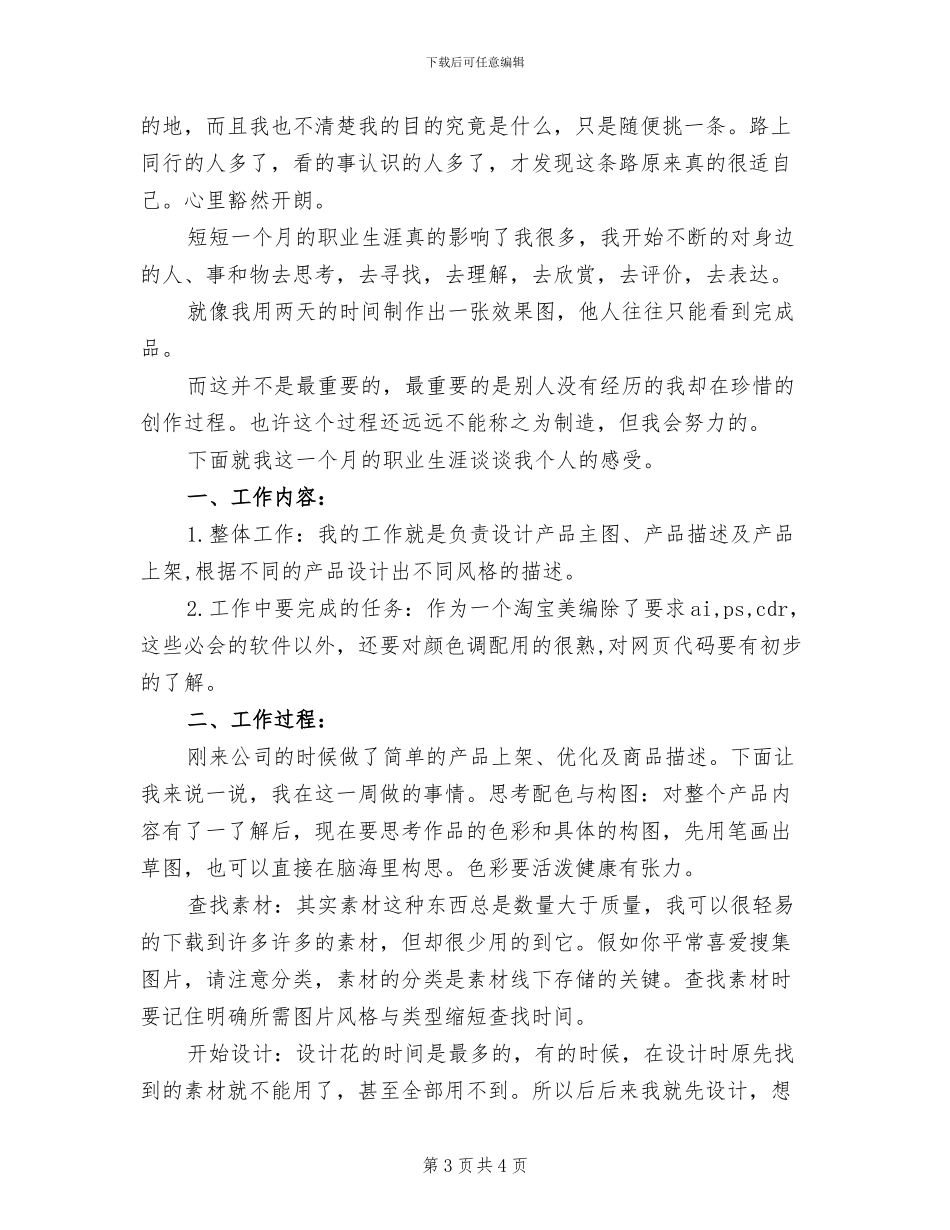 2024年淘宝美工年终个人工作总结_第3页