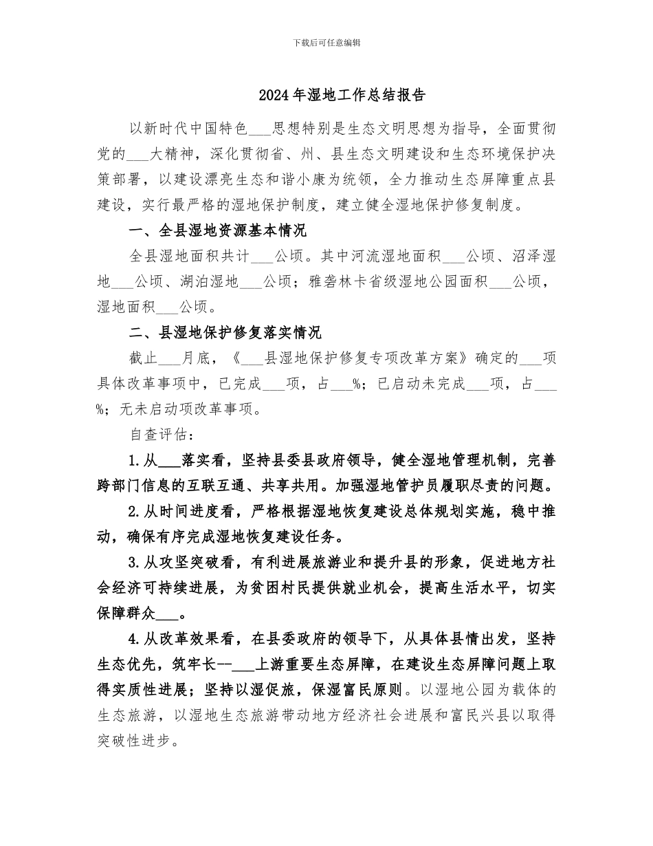 2024年湿地工作总结报告_第1页