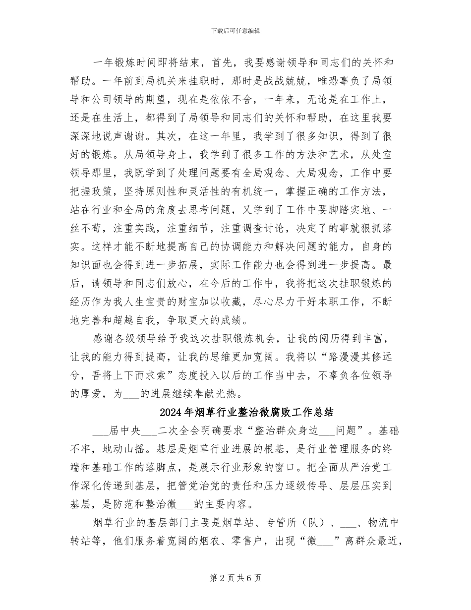 2024年烟草行业挂职工作总结_第2页