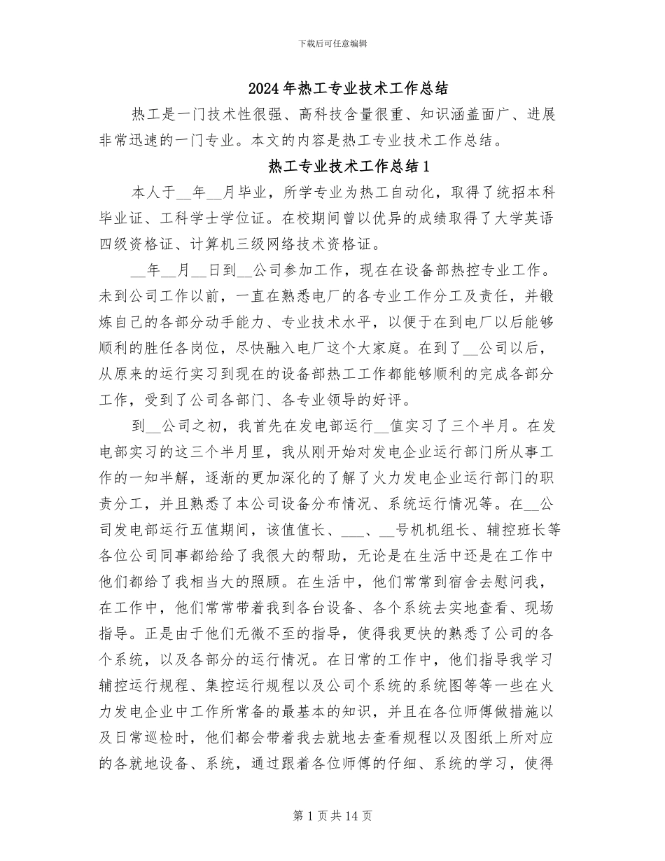 2024年热工专业技术工作总结_第1页