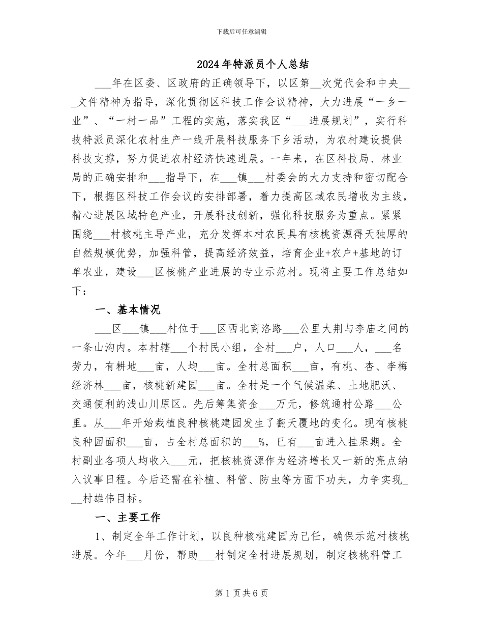 2024年特派员个人总结_第1页