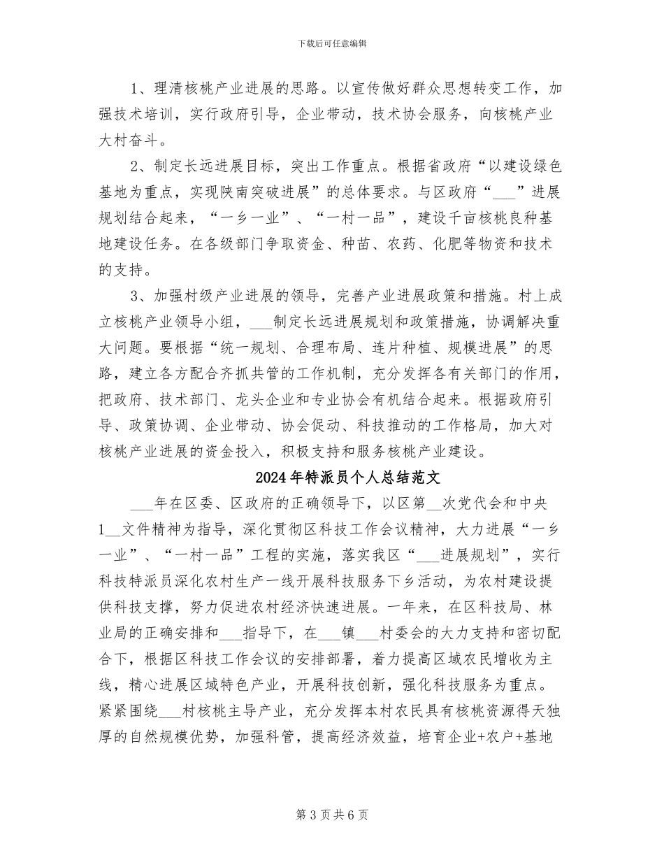 2024年特派员个人总结_第3页