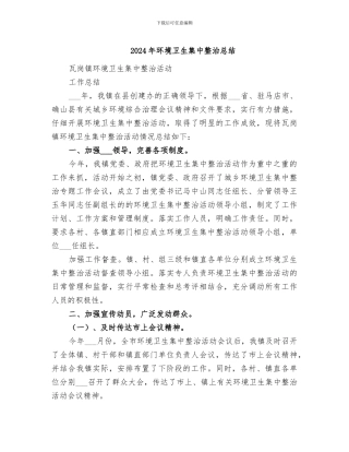 2024年环境卫生集中整治总结