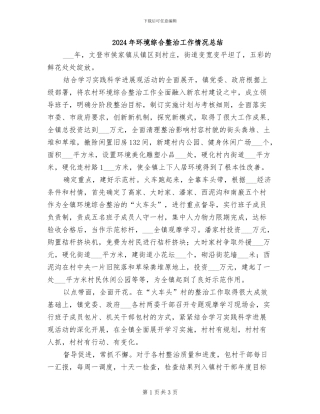 2024年环境综合整治工作情况总结