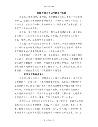 2024年班主任试用期工作总结