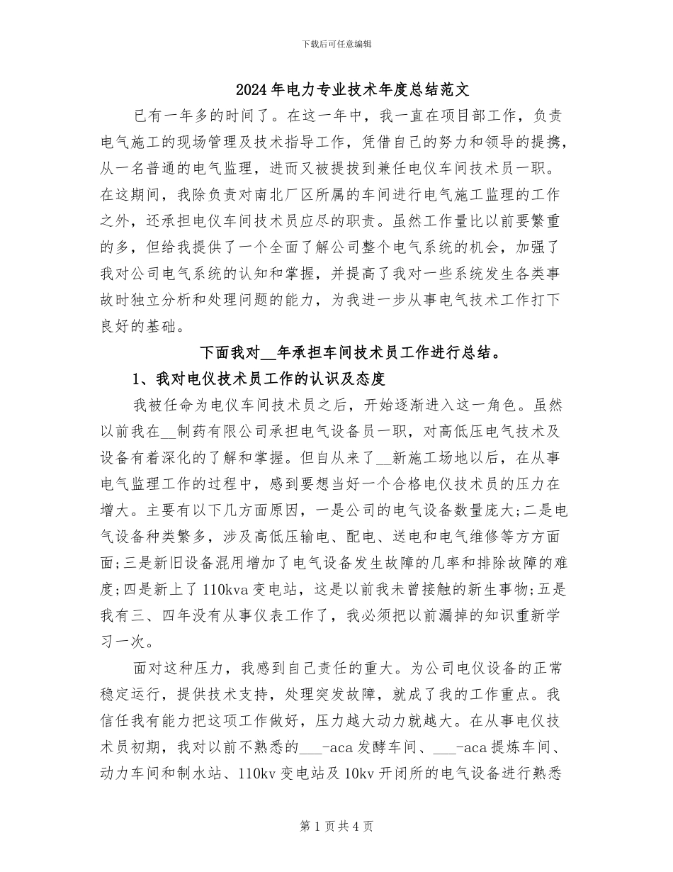 2024年电力专业技术年度总结范文_第1页