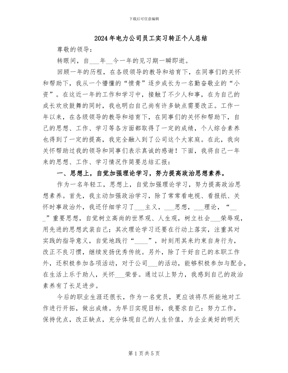 2024年电力公司员工实习转正个人总结_第1页