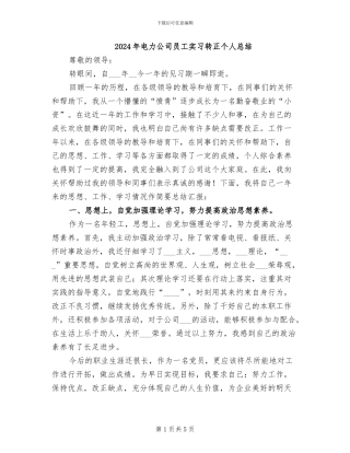 2024年电力公司员工实习转正个人总结