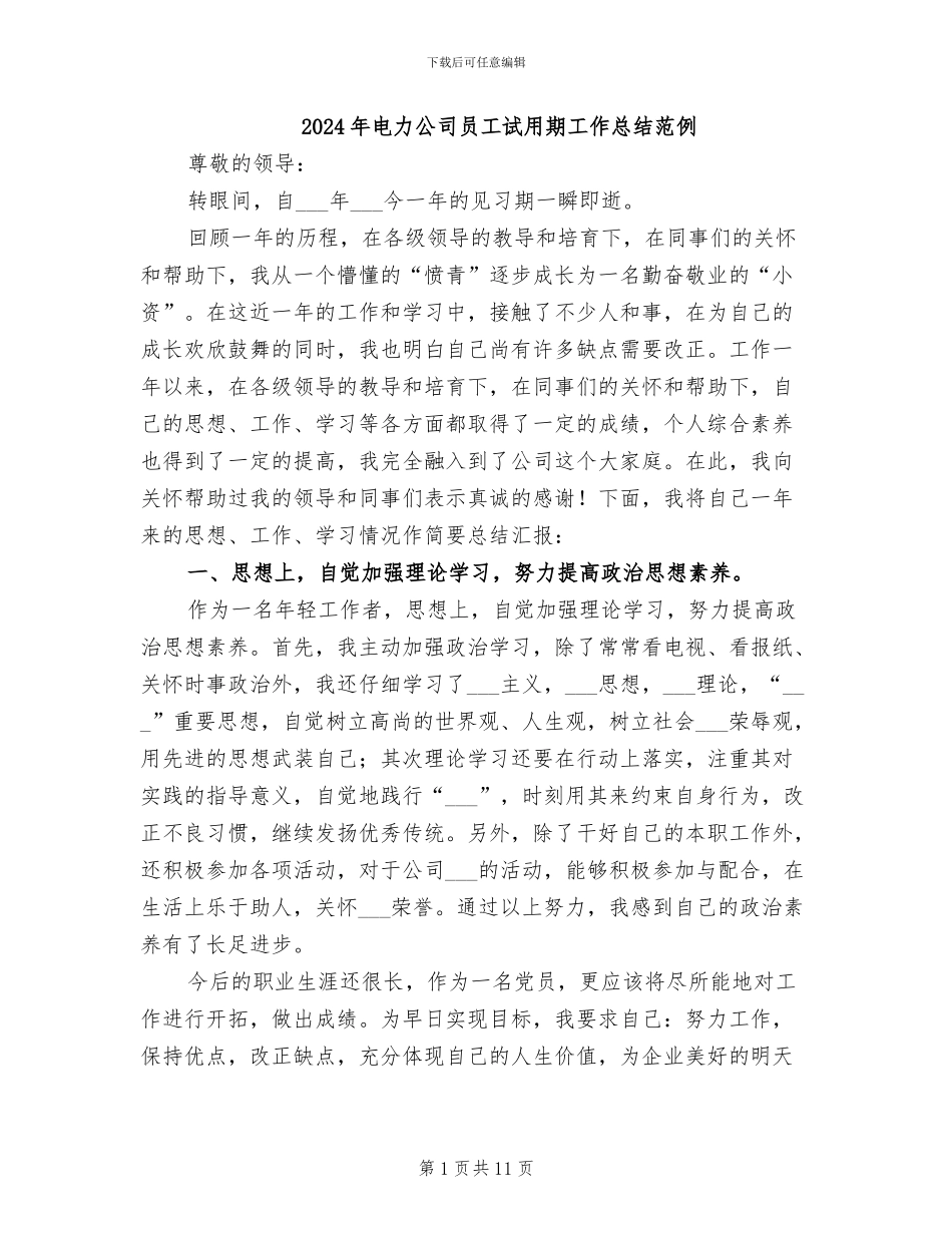 2024年电力公司员工试用期工作总结范例_第1页