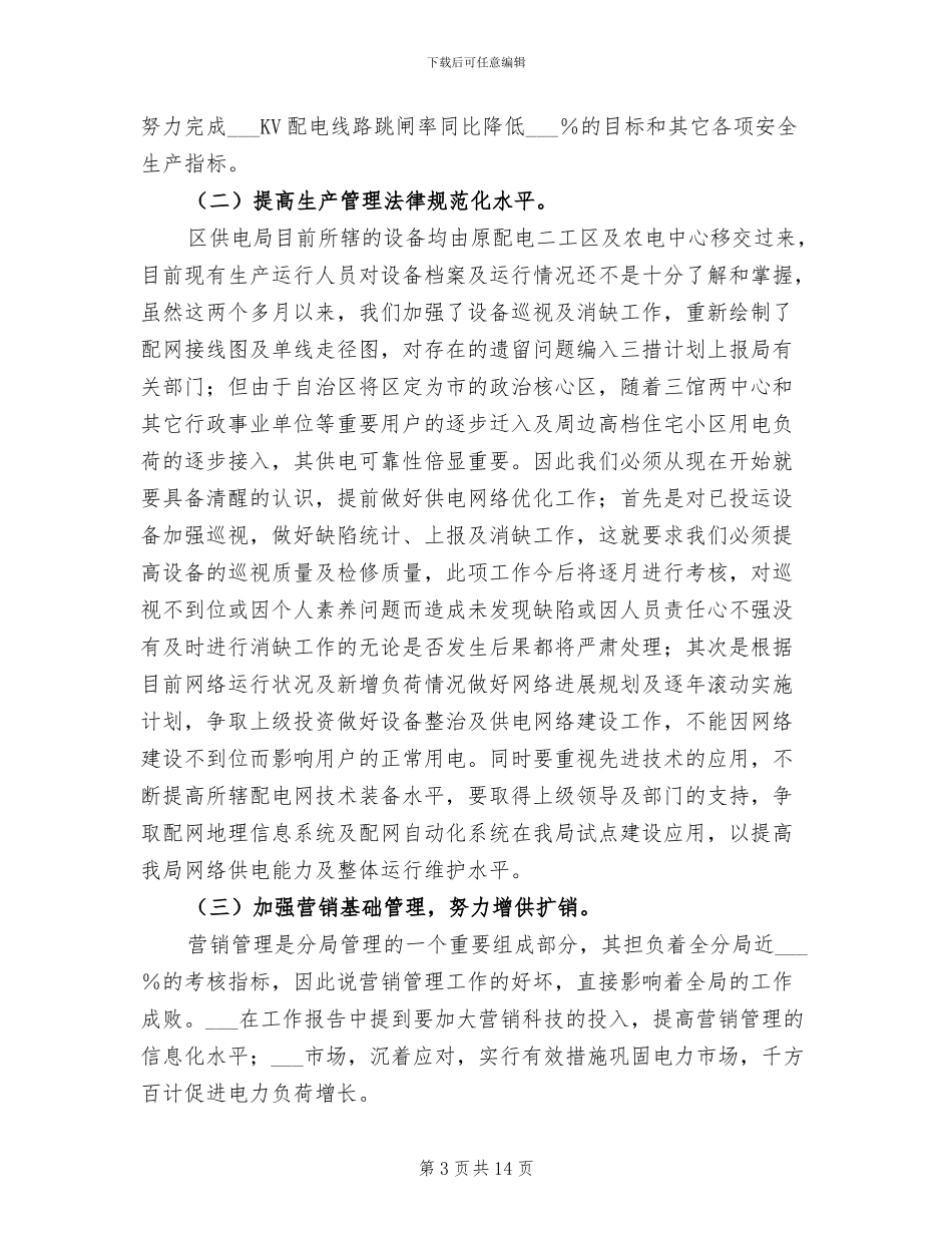 2024年电力企业经理年终总结_第3页