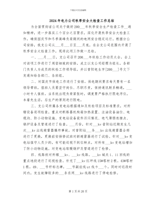 2024年电力公司秋季安全大检查工作总结