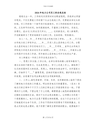 2024年电力公司员工的自我总结