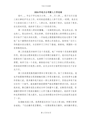 2024年电力公司新人工作总结