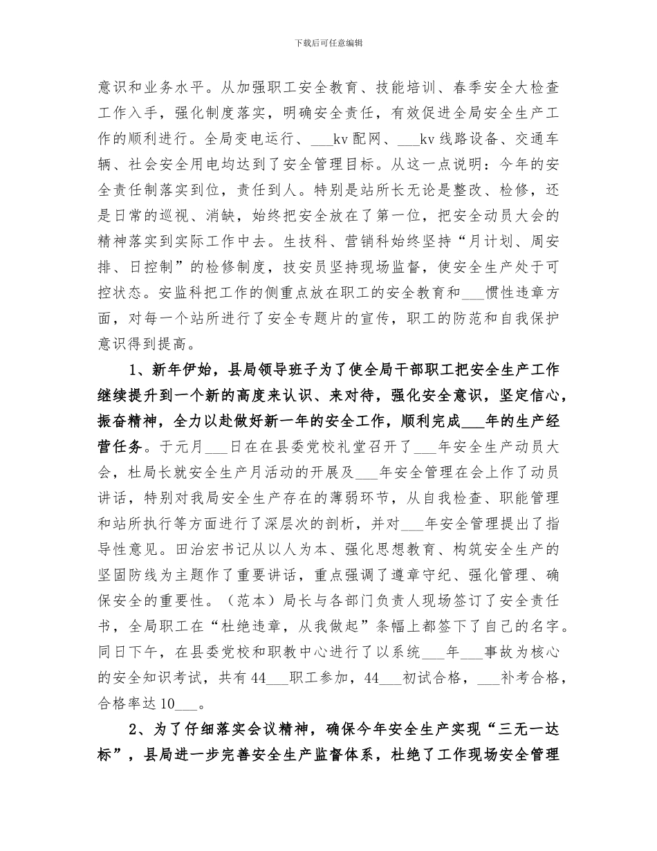2024年电力局半年工作总结_第2页