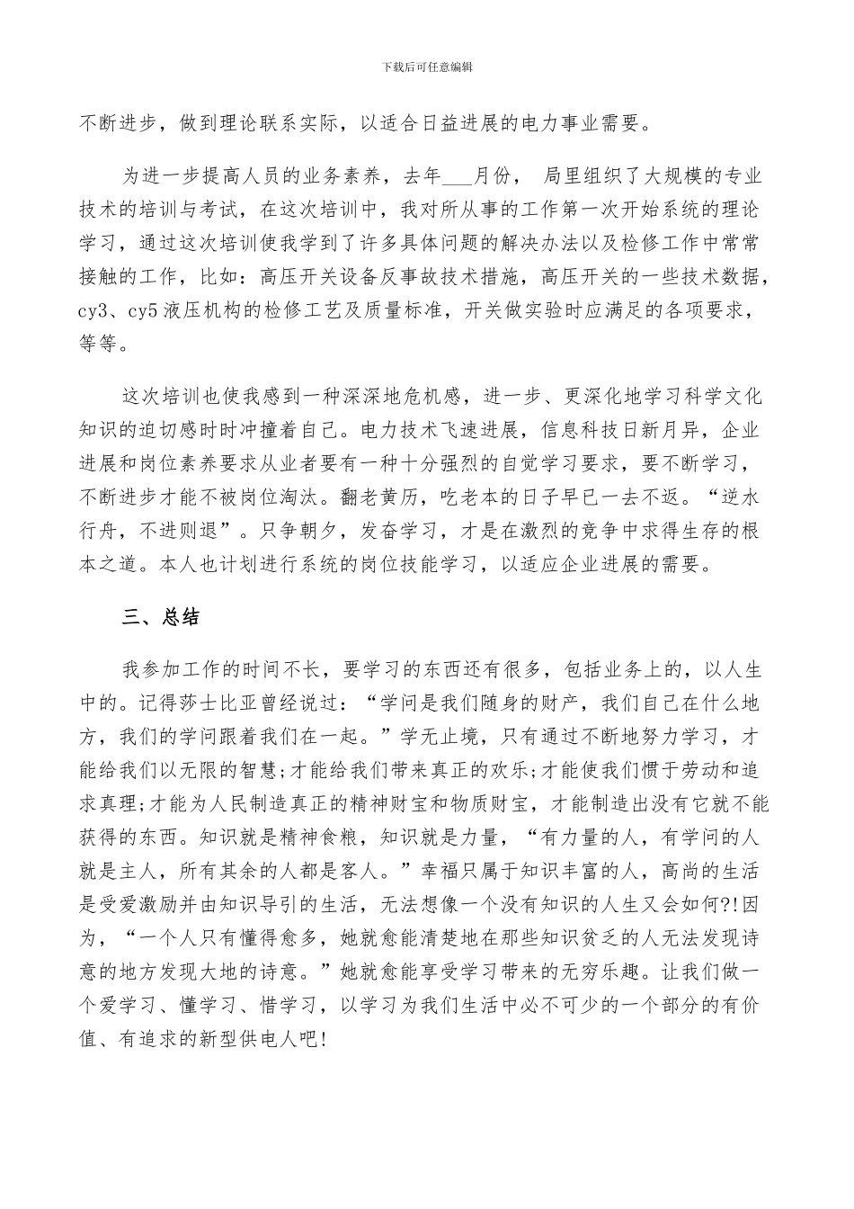 2024年电力工作技术总结_第2页