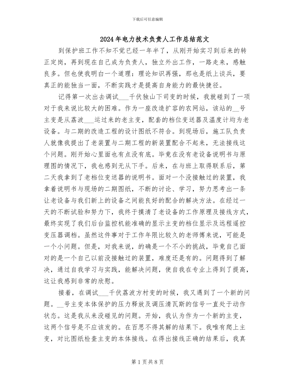 2024年电力技术负责人工作总结范文_第1页