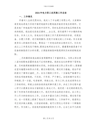2024年电力职工试用期工作总结