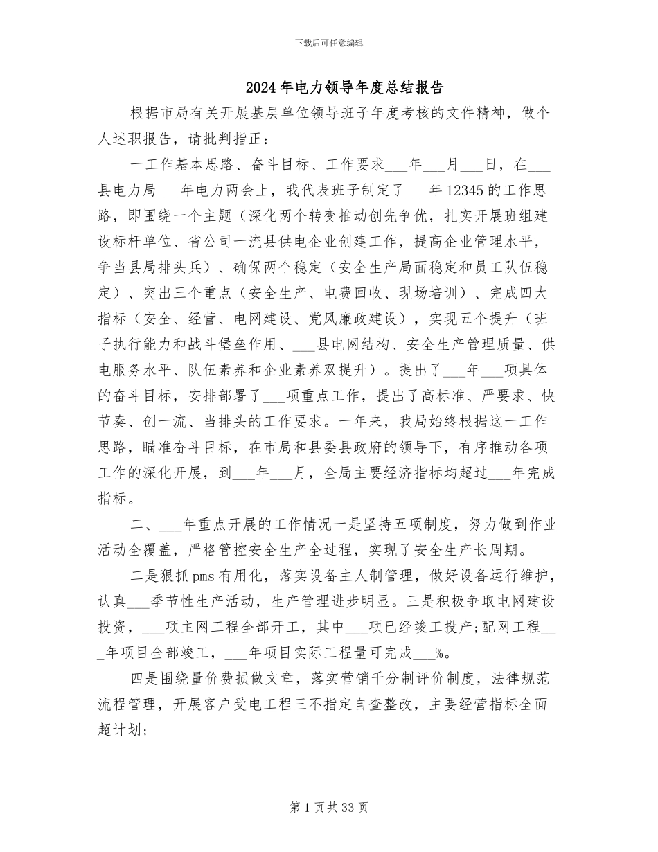 2024年电力领导年度总结报告_第1页