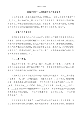 2024年电厂个人顶岗实习工作总结范文