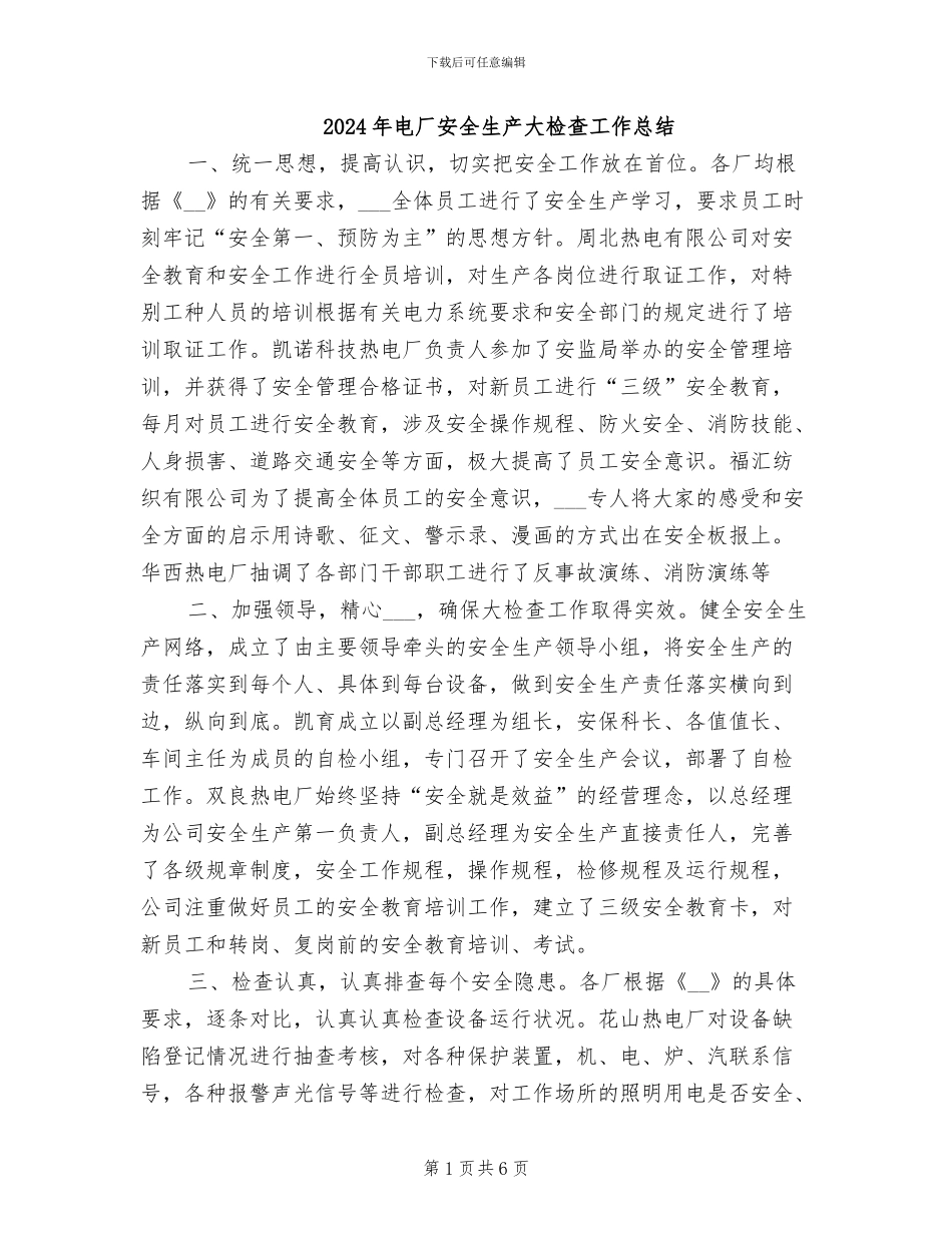 2024年电厂安全生产大检查工作总结_第1页