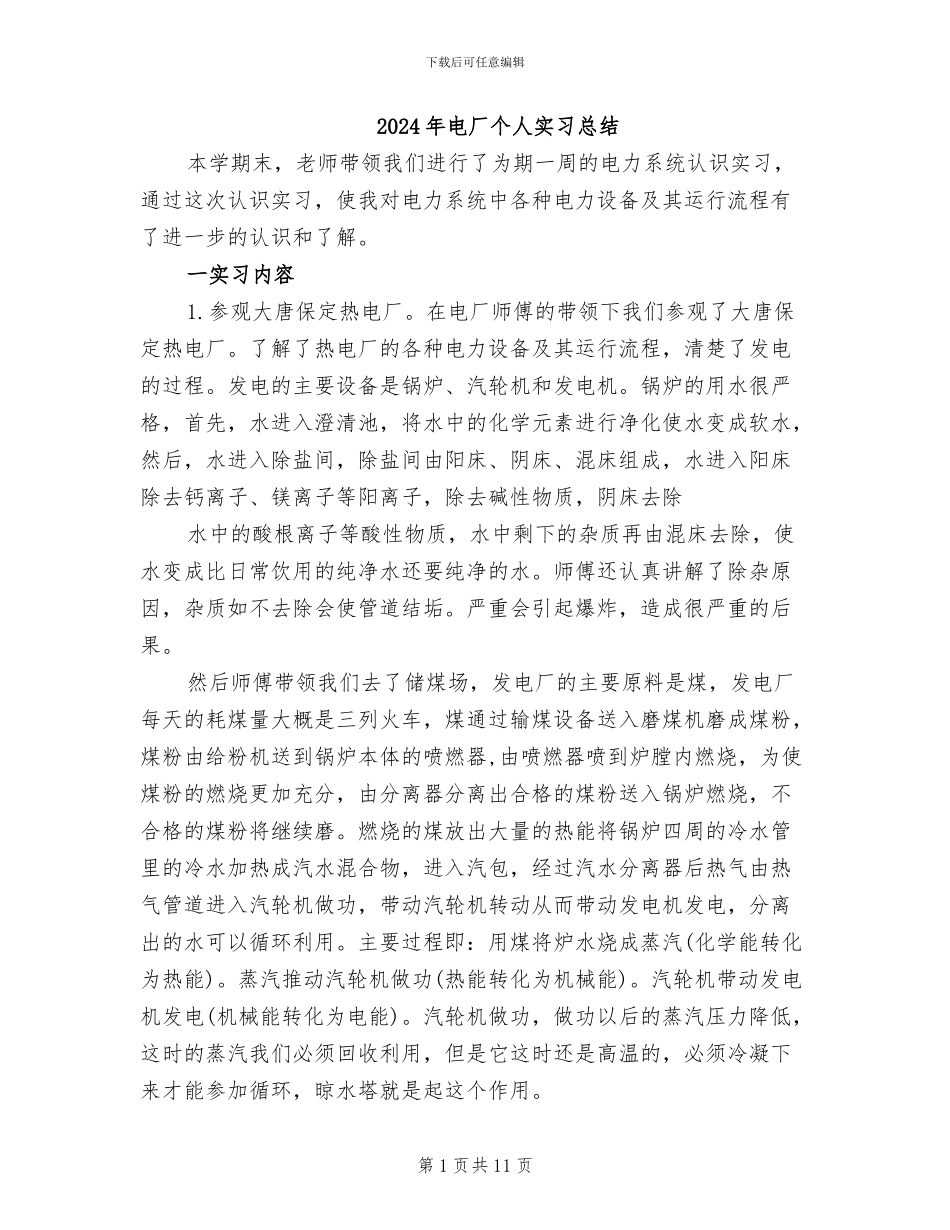 2024年电厂个人实习总结_第1页