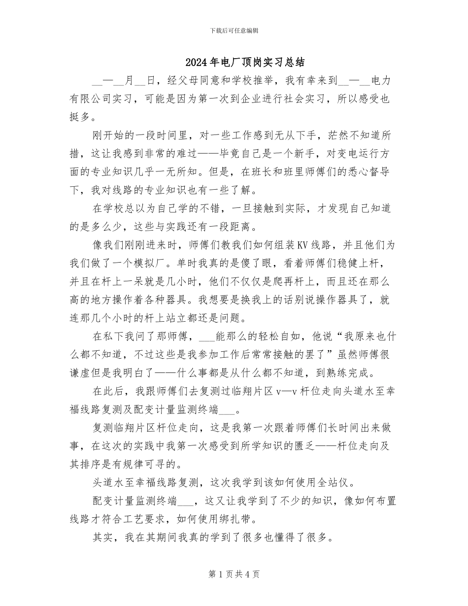 2024年电厂顶岗实习总结_第1页