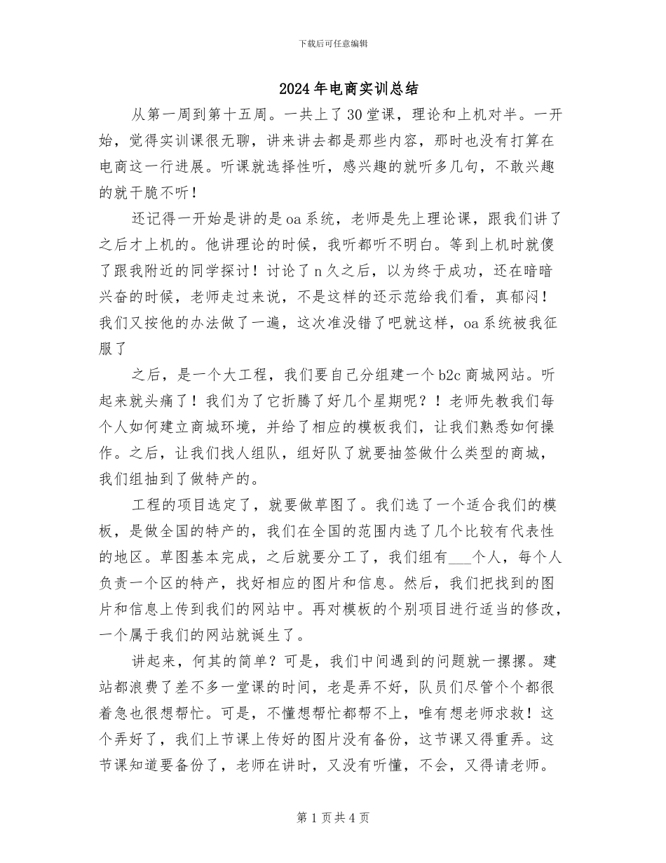2024年电商实训总结_第1页