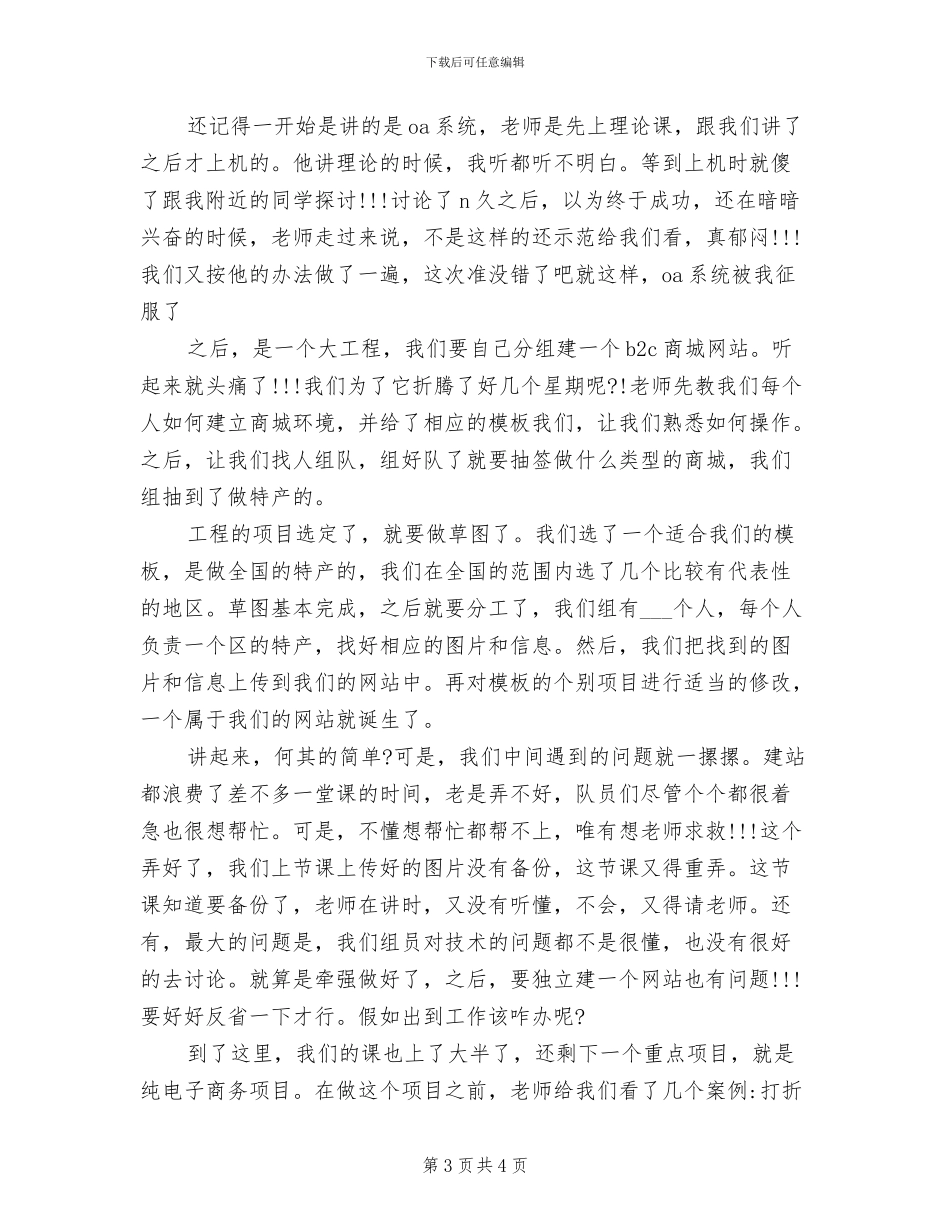 2024年电商实训总结_第3页