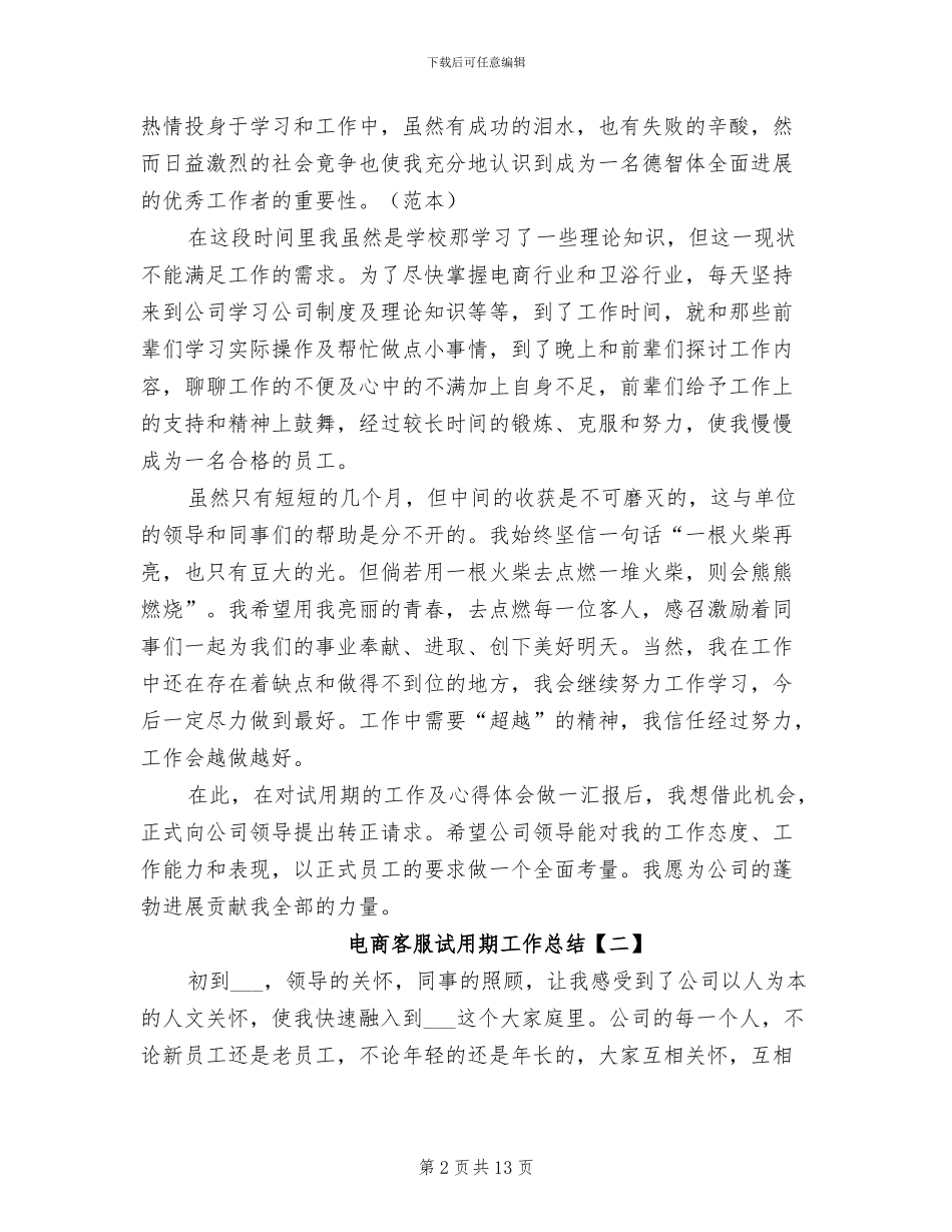 2024年电商客服试用期工作总结_第2页