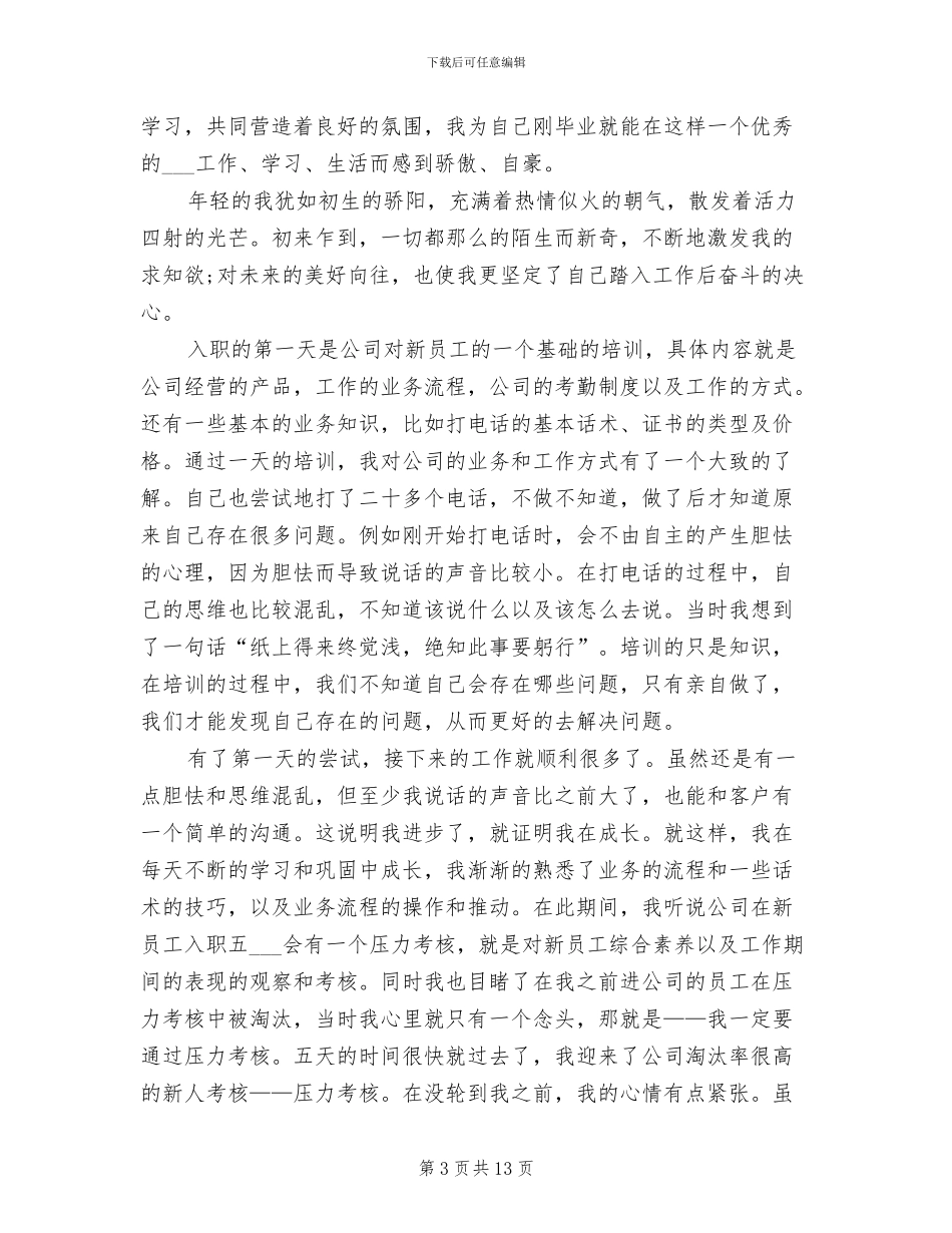 2024年电商客服试用期工作总结_第3页