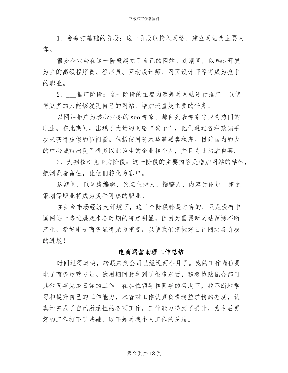 2024年电商运营个人工作总结报告_第2页