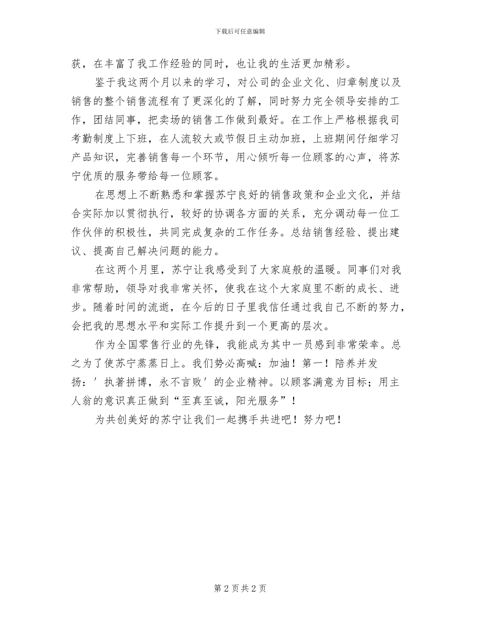 2024年电器销售个人工作小结_第2页