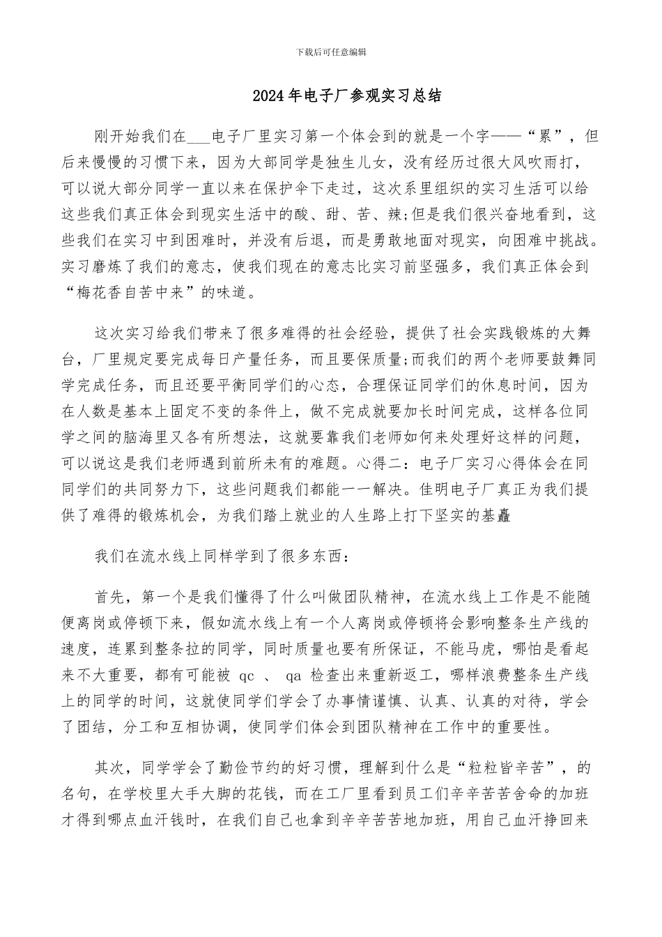 2024年电子协会工作总结范本_第3页