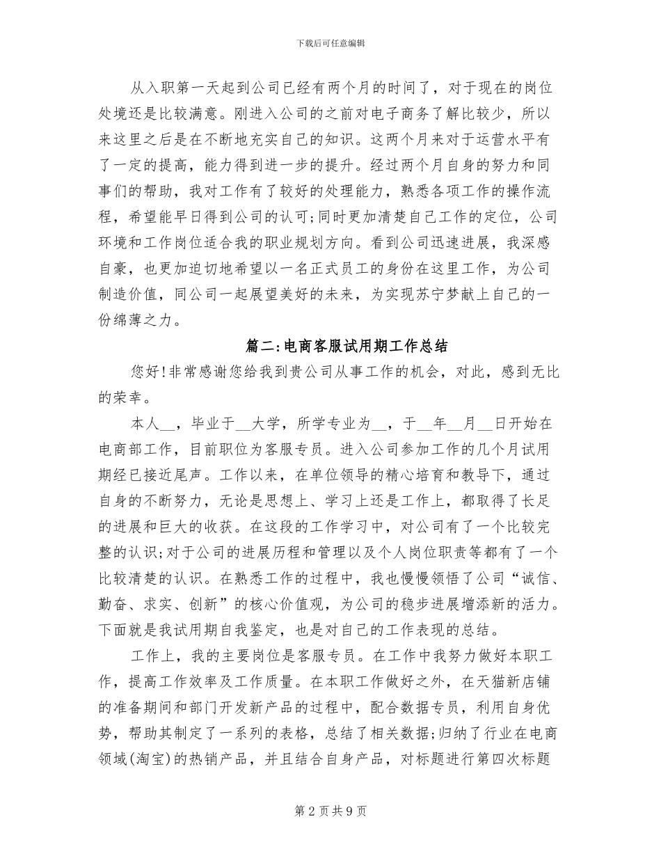 2024年电商类试用期工作总结_第2页