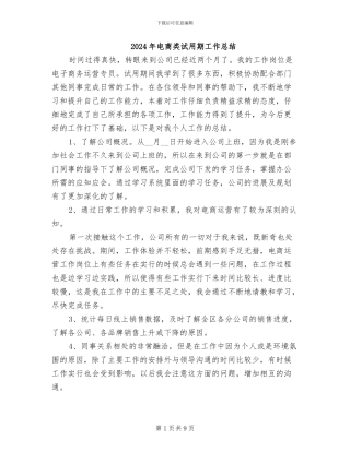 2024年电商类试用期工作总结