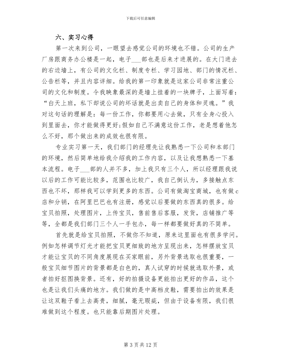 2024年电子商务实习总结样本_第3页