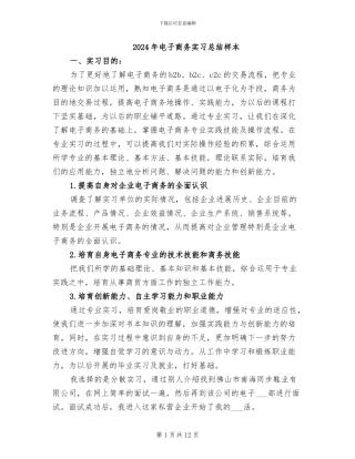 2024年电子商务实习总结样本