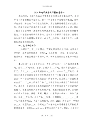 2024年电子商务实习报告总结一