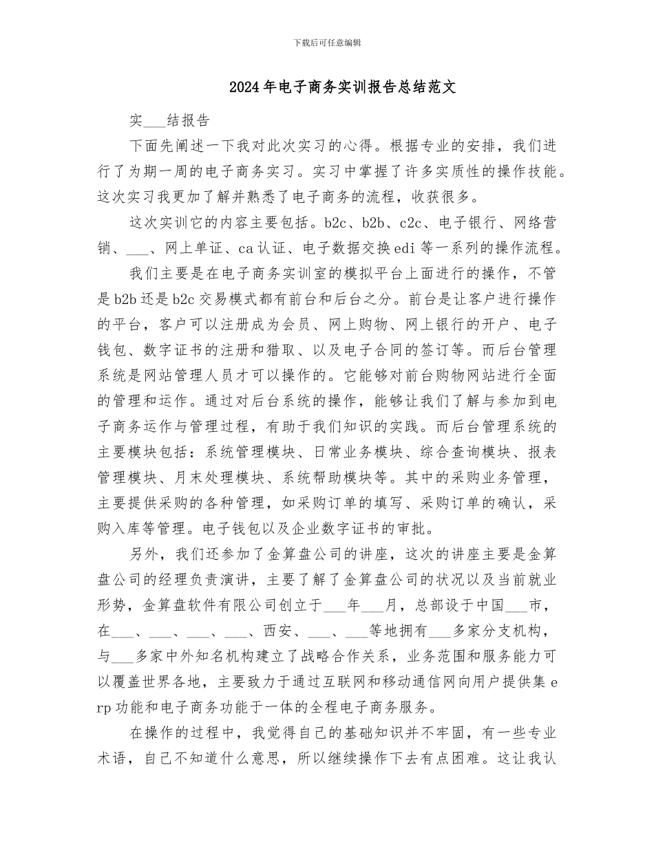2024年电子商务实训报告总结_第3页