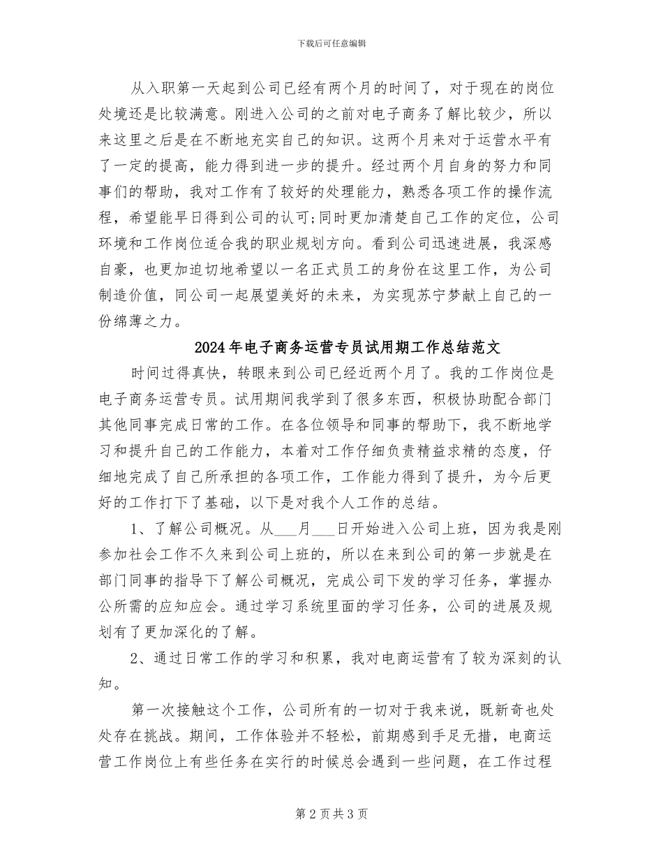 2024年电子商务运营专员试用期工作总结_第2页