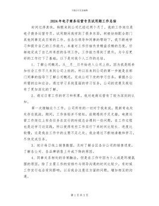 2024年电子商务运营专员试用期工作总结