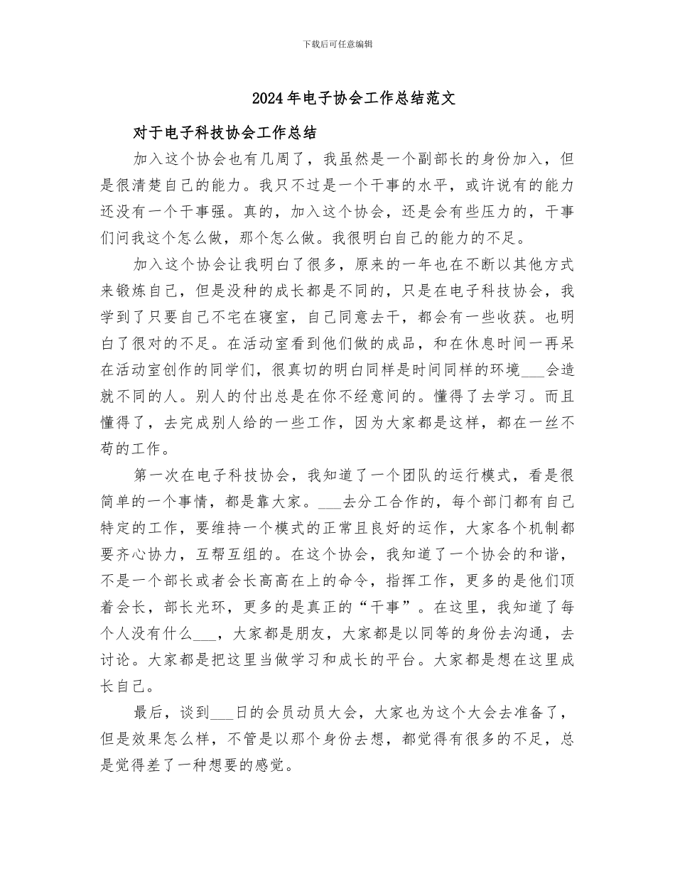 2024年电子协会工作总结范文_第1页