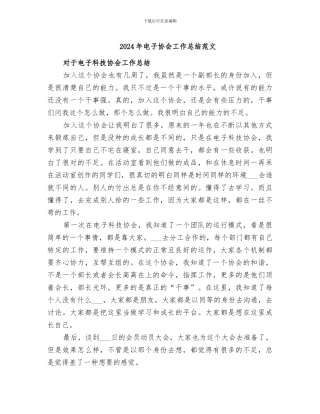 2024年电子协会工作总结范文