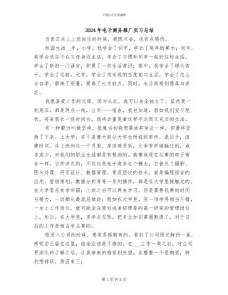 2024年电子商务推广实习总结