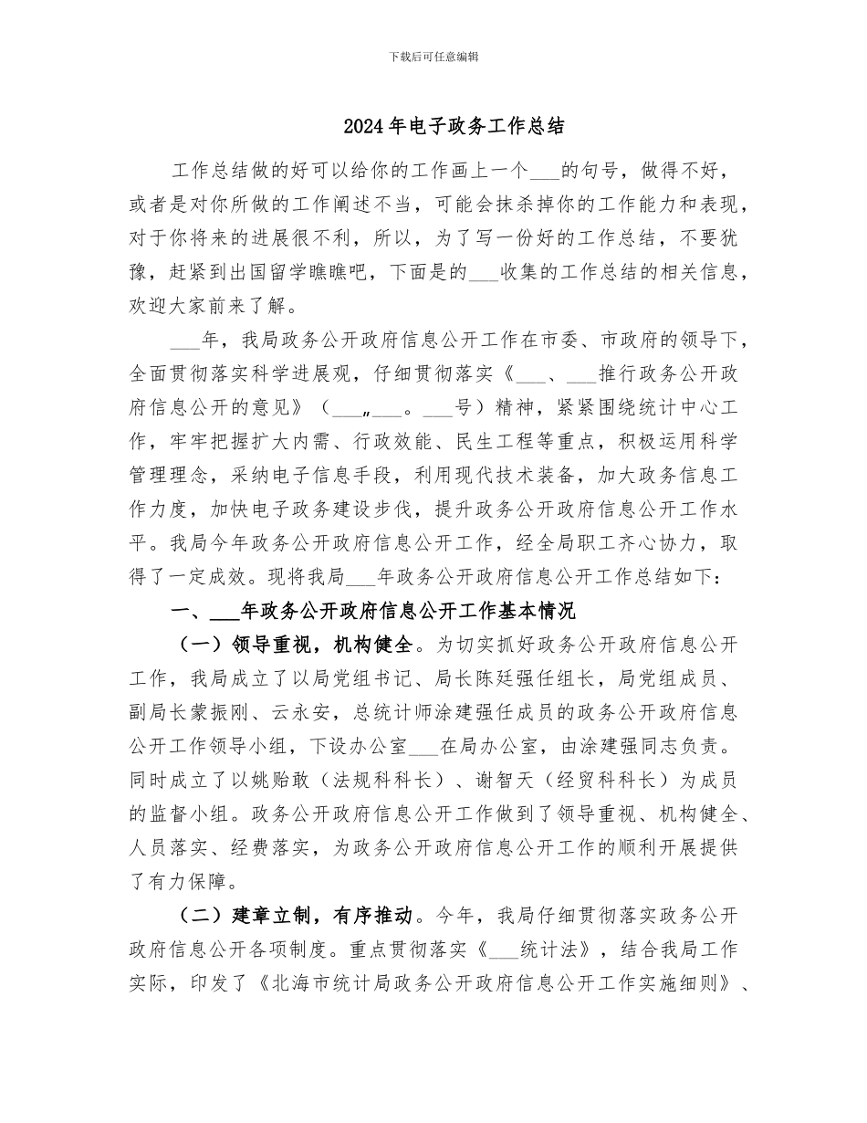 2024年电子政务工作总结_第1页