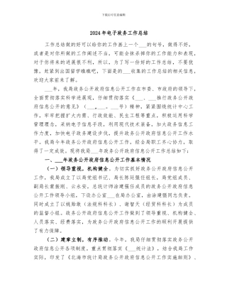 2024年电子政务工作总结